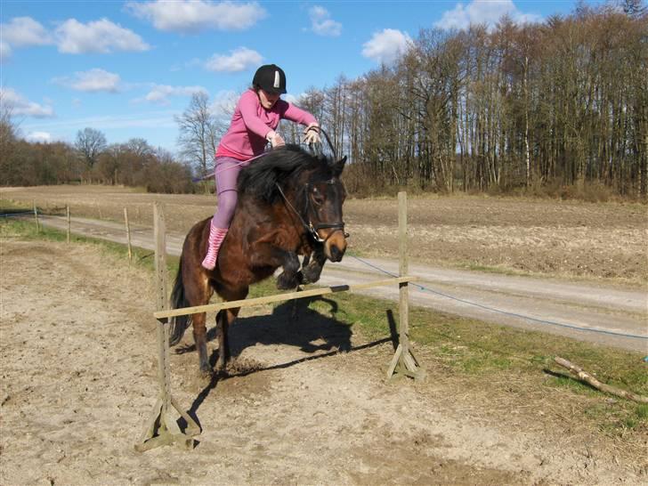 New Forest Pichan R.I.P. - I trusted you, and you trusted me .. billede 14