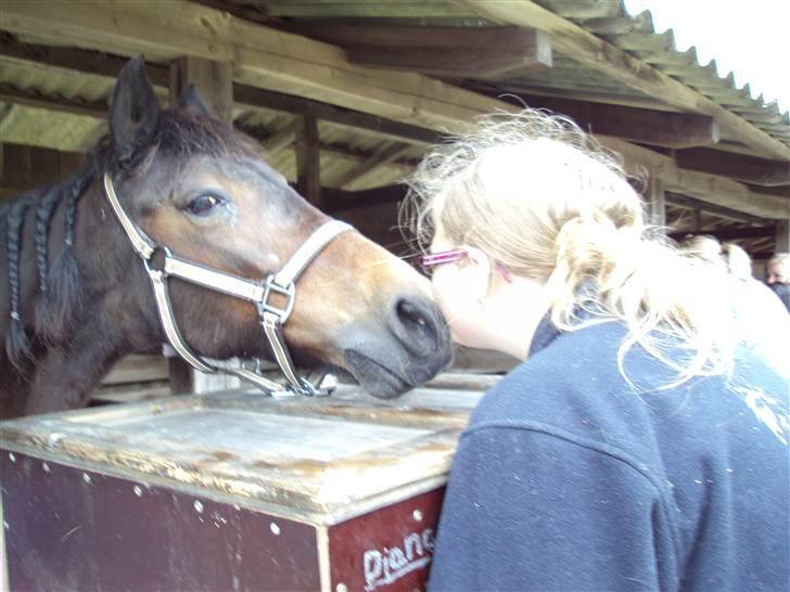 New Forest Pichan R.I.P. - I call it love .. billede 15