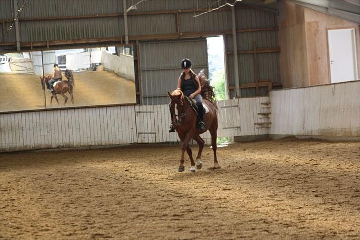 Dansk Varmblod Emos <3 <3 <3 <3 <3 - 11# 28/8 2010 Emos og mig i Fri trav <3 21 År gammel og såå Lækker <3 Foto; Camilla (mit kamera) billede 12