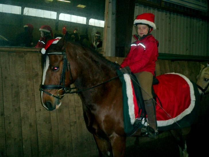 DSP Charleston *solgt* - Jule optog 2007 billede 7