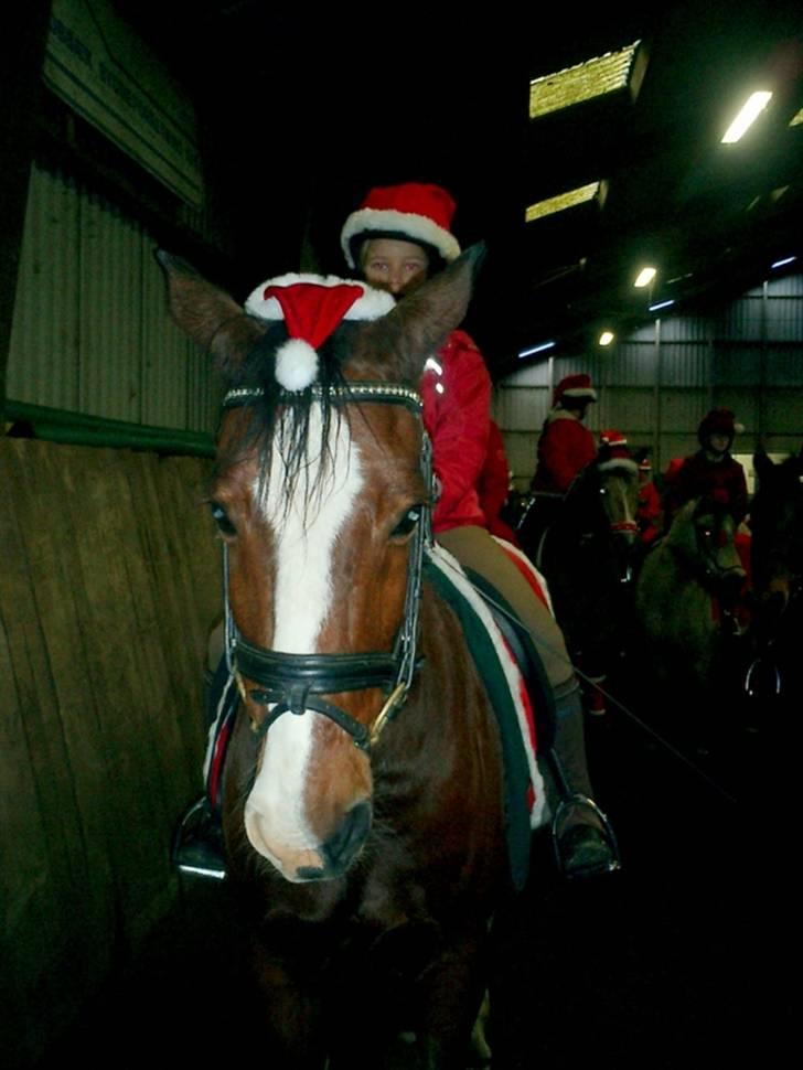 DSP Charleston *solgt* - Jule optog 2007 billede 8