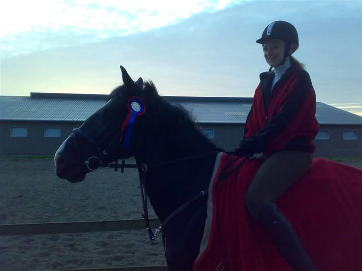 Anden særlig race Miklagaards Black Beauty billede 19