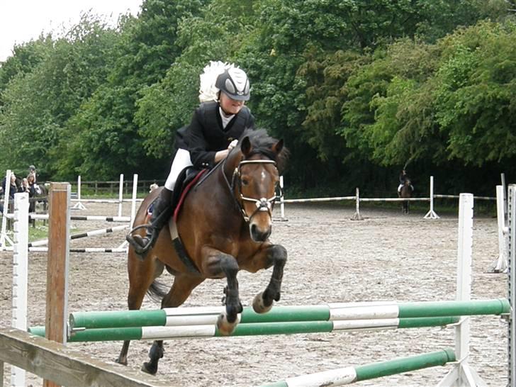 Irsk Sportspony Clover Island - 11) LB på RUR:)<333 FOTO: Min far billede 11