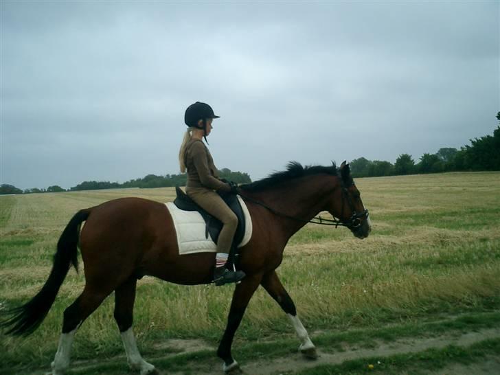 DSP Charleston *solgt* billede 9