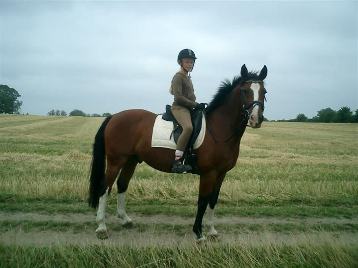 DSP Charleston *solgt* billede 10