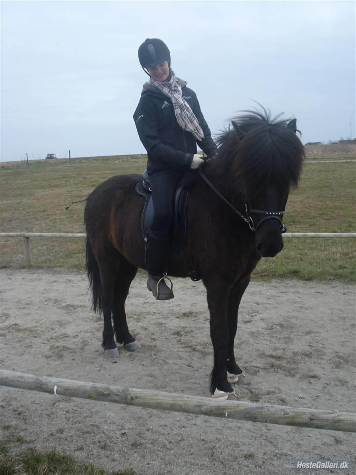 Islænder Fjalar Fra Løvemose<3 - Velkommen til Fjalars profil <´3 Her er Fjalar og jeg på Geysirbanen d. 31/3-09 . Taget af Julie <´3 . MÅ IKKE KOPIERES. billede 1