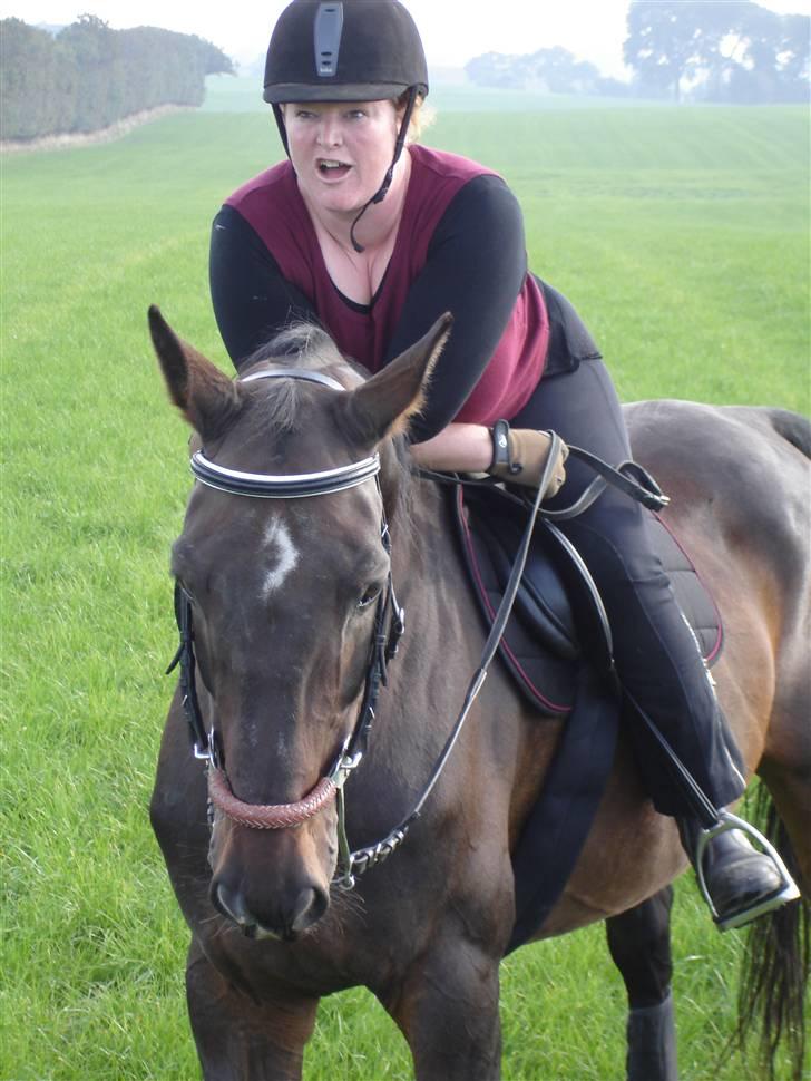 Dansk Varmblod Montreux *RIP* - No need for words! billede 10