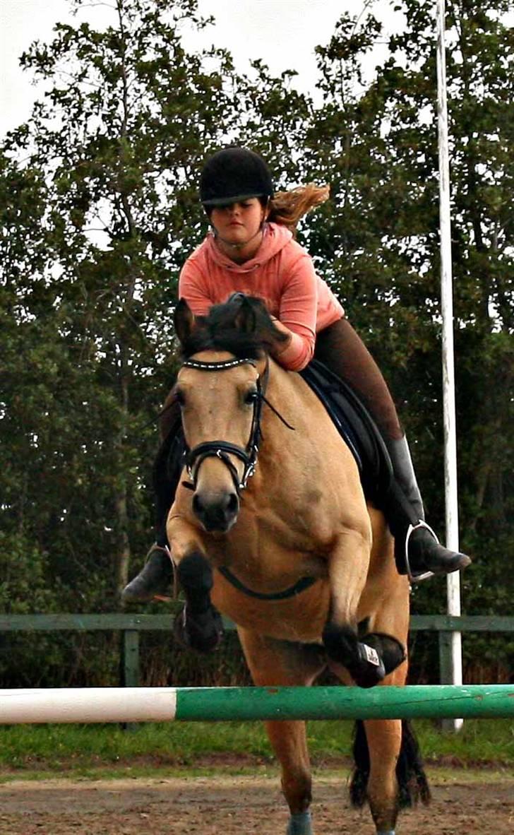 Hollandsk Sportspony Valerie (solgt 09) - Splat! Hvis man bare breder benene ud sådan her behøver man ikke springe så højt:p(første gang jeg springer på hende) billede 6