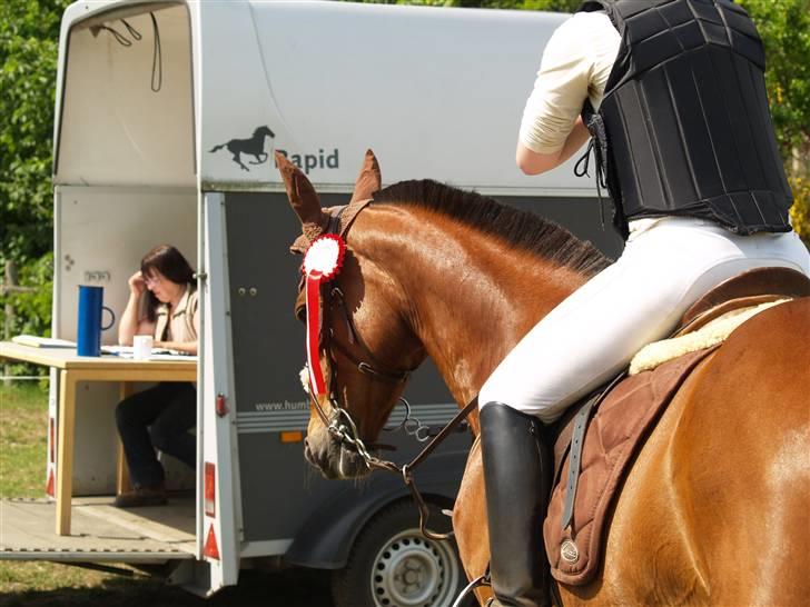 Traver Stella soulmate<3 pension R.I.P - Yes 2 rosetter :D billede 10
