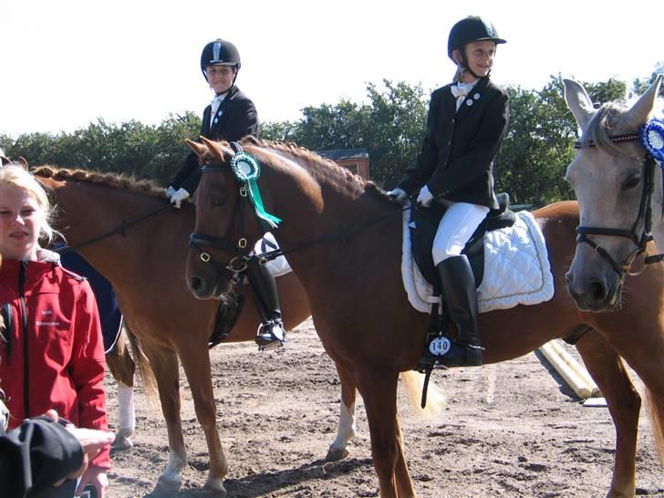 Anden særlig race ¨˜°º•¤ Aldato ¤•º°˜¨ - 3. plads Nibe Cup 2009 billede 15