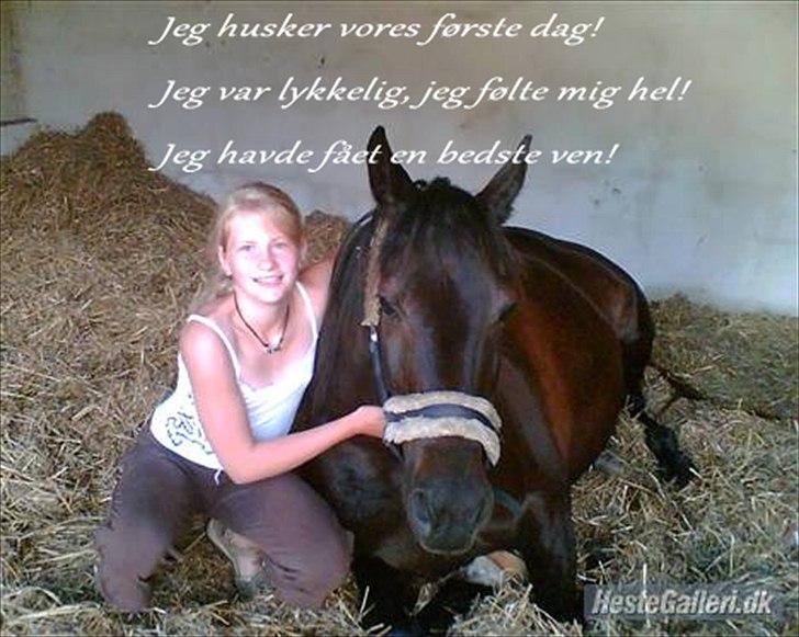 Anden særlig race Prins <3 - Billede nr.: 2* Et af de første billeder af Prins og jeg :) billede 2