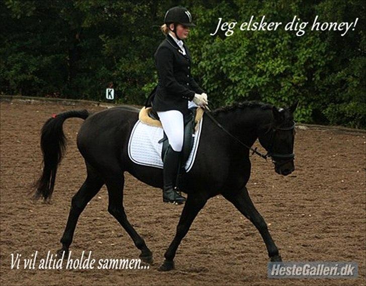 Anden særlig race Prins <3 - Billede nr.: 3* Stævne i Tougaard rideklub. <3 FOTO: SHP billede 3