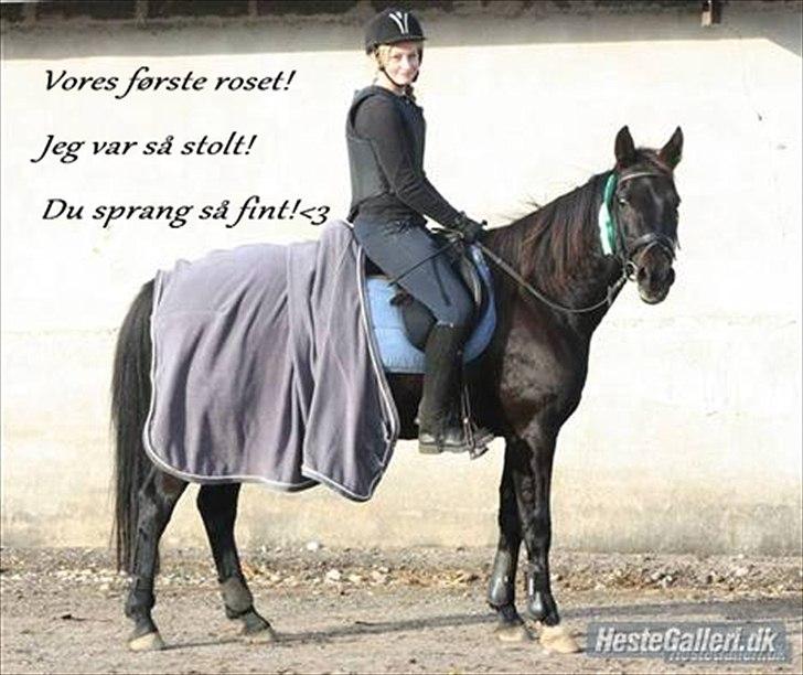 Anden særlig race Prins <3 - Billede nr.: 5* Prins og mig til ring og spring i vasehus <3<3 Vores første roset!! hehe... FOTO: Sis <3 billede 5