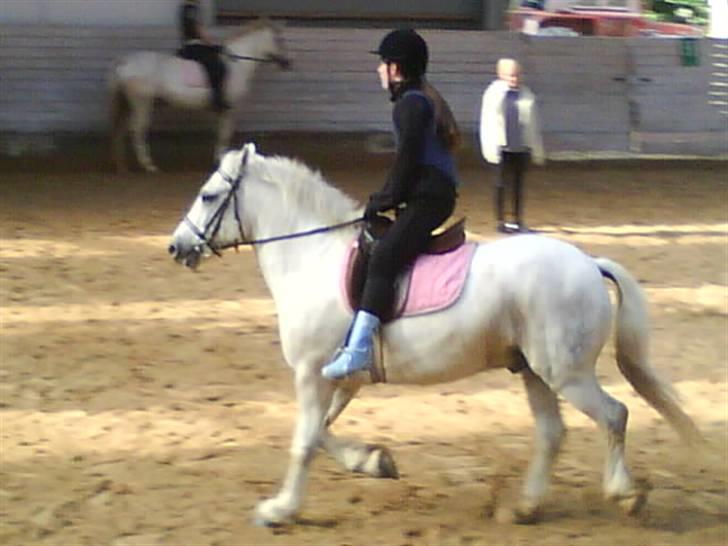 Anden særlig race Hugo - Ridning :D billede 2