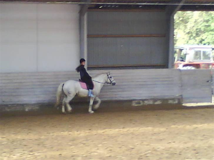 Anden særlig race Hugo - Ridning :D billede 3