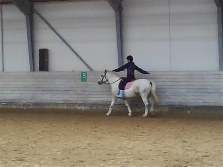 Anden særlig race Hugo - Ridning :D billede 6