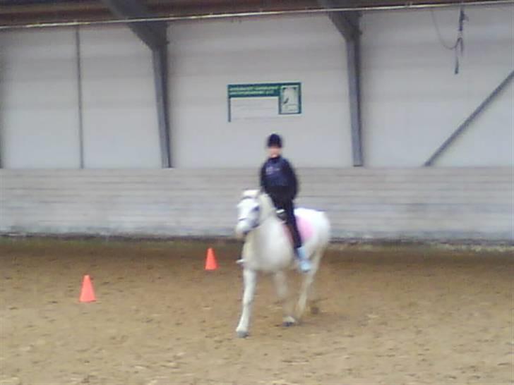 Anden særlig race Hugo - Ridning :D billede 11