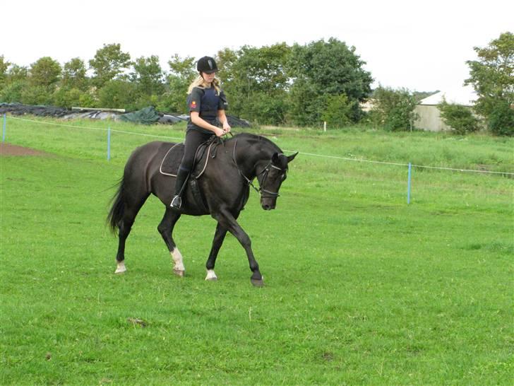 Oldenborg maj billede 13