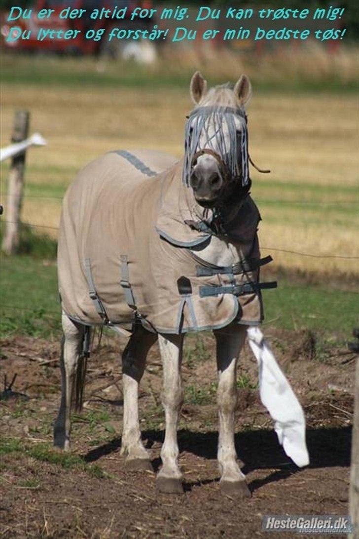 Anden særlig race Bella <3 - Billede nr.: 4* Søde opmærksomme Bella :)   FOTO: Sidsel :) billede 4