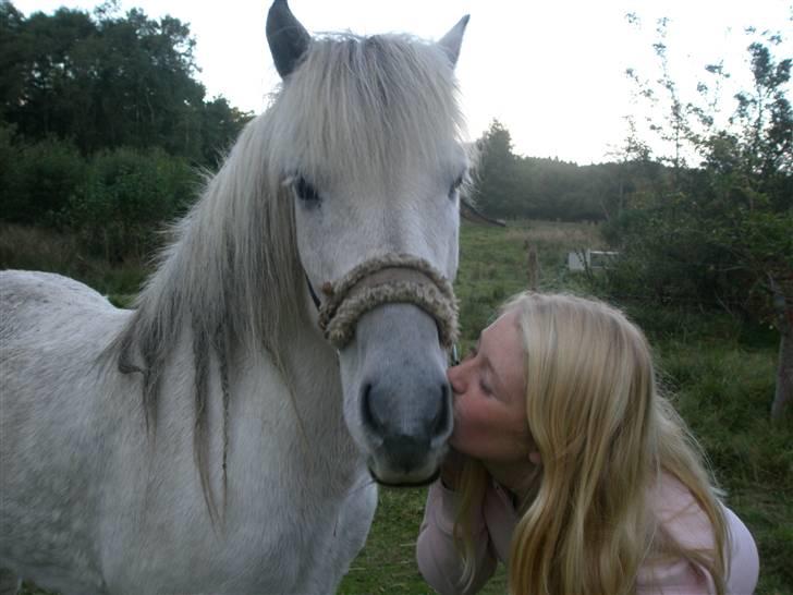 Islænder <3 Twister/Twistur <3 - Twister der for et smask kys af min ven sarah billede 2