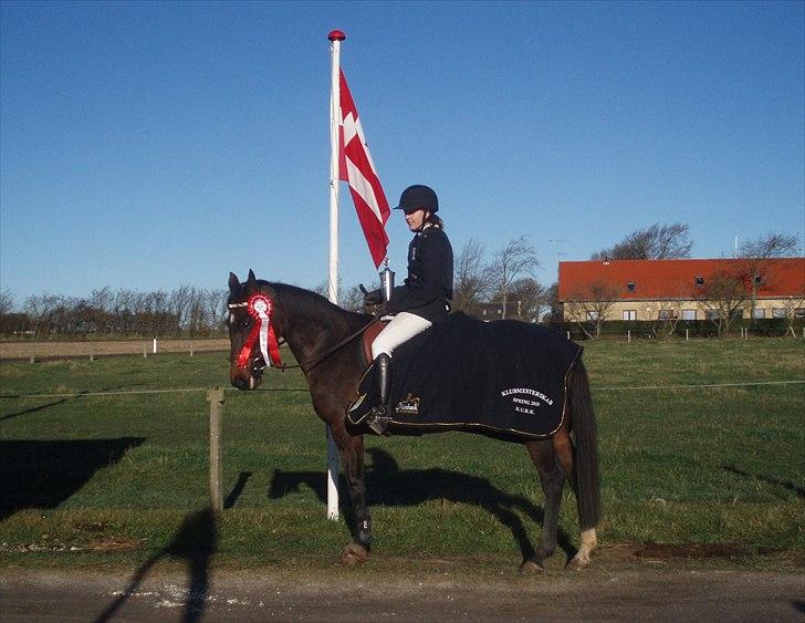 Anden særlig race Bonnie - Klubmester 2010 billede 4