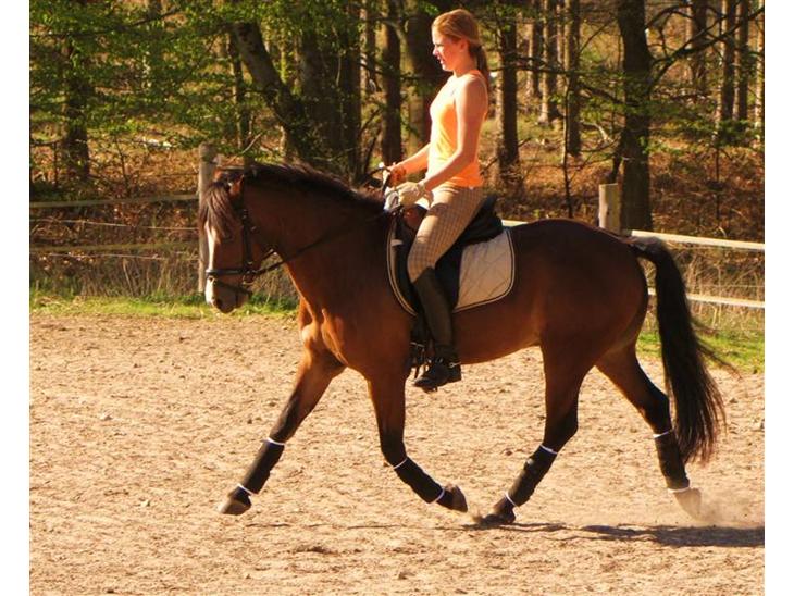 {{currentPhoto.altText}} billede {{currentPhoto.number}}