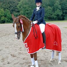 DSP A-PONY Lady Ley Roest 