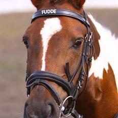 Pinto Ferdinand Bpony - Solgt -