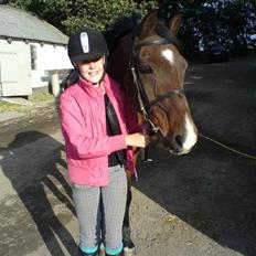 Anden særlig race Tobias (Sweety Monty)