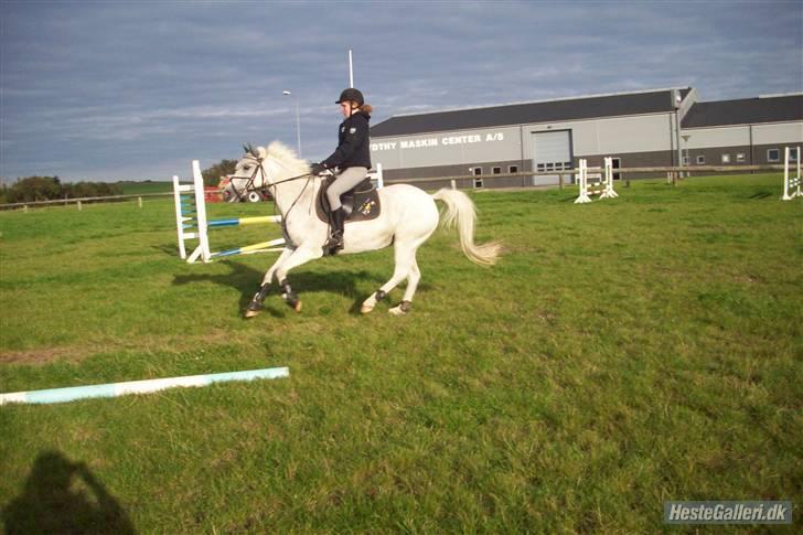 Anden særlig race Simone  - 7¤   Fuld Gallop hen tril springet <3 DU var dejlig skath<3 billede 7