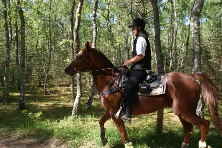 Traver Dexon - En dejlig tur i skoven billede 1