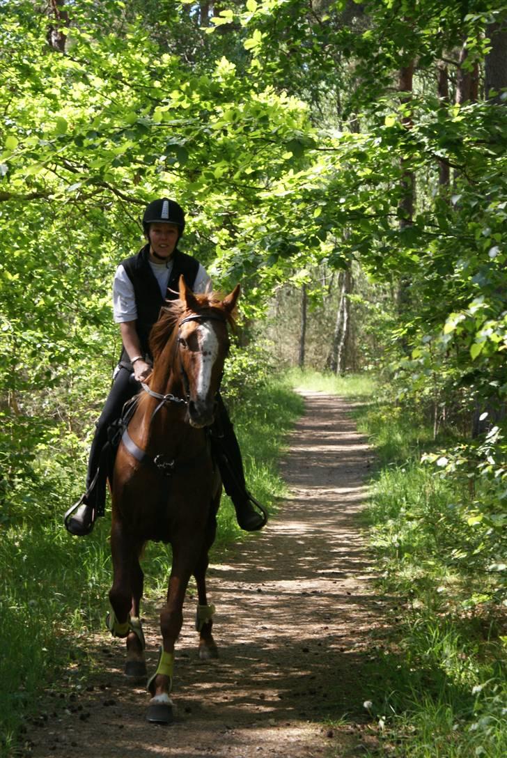 Traver Dexon - Så er der knald på billede 2