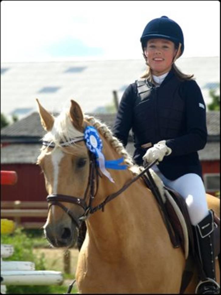 Hollandsk Sportspony - Hogewald'S Julian  - Fordi Julian er en præmiepony <3 . Foto: Sandra billede 16