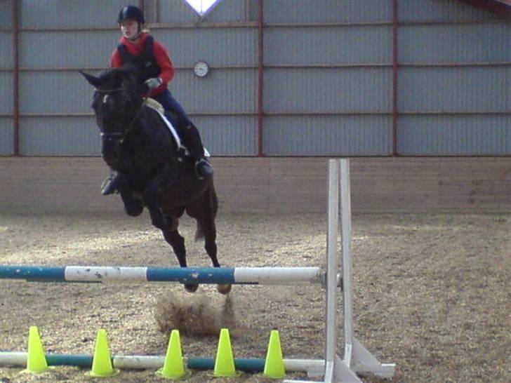 Anden særlig race Noir De Monique <3  R.I.P - her springer vi lidt billede 5