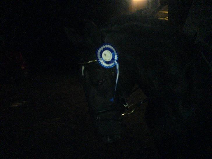 Anden særlig race Noir De Monique <3  R.I.P - ring og rid, NAS (GSPR) september 2006, mit første dressur stævne på hende. billede 7