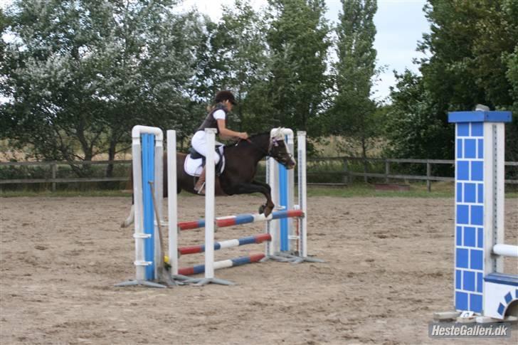 DSP Princess *SØSTERS* billede 8