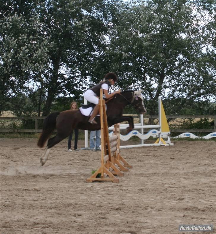 DSP Princess *SØSTERS* billede 9