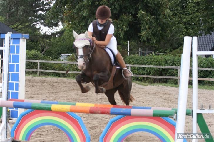 DSP Princess *SØSTERS* billede 10