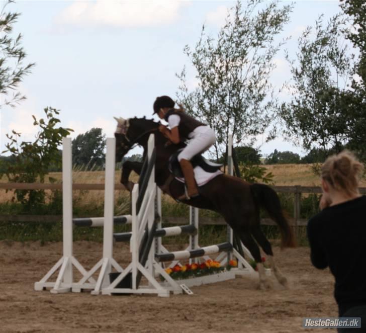 DSP Princess *SØSTERS* billede 11