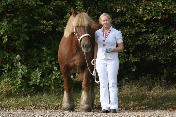 Jyde Freja - Mønstringsmedalje for mønstringen af Freja til hoppekåring..  billede 3