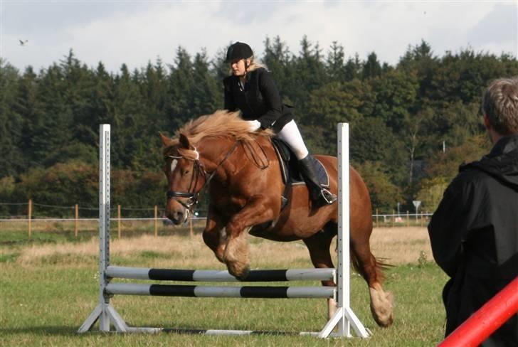 Jyde Freja - Den hest gør ALT for mig, og jeg vil gøre alt for hende...  billede 4