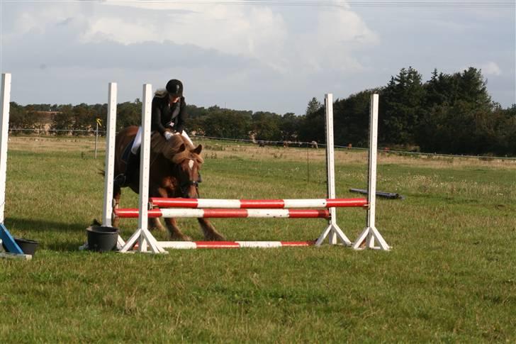 Jyde Freja - Breeeeems... gad vide om jeg kan komme under (-:  billede 9