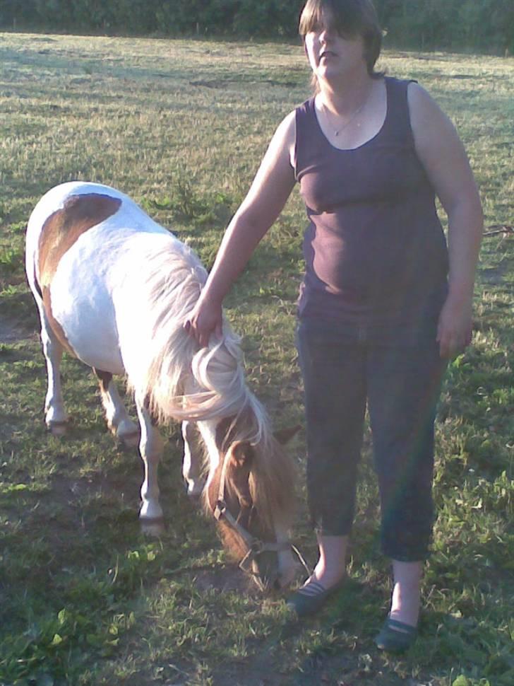 Miniature Indi - Indi og mor billede 8