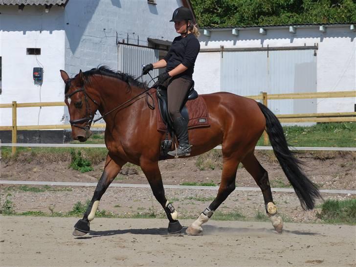 Oldenborg Cornelia - Træning aug. 09 billede 3