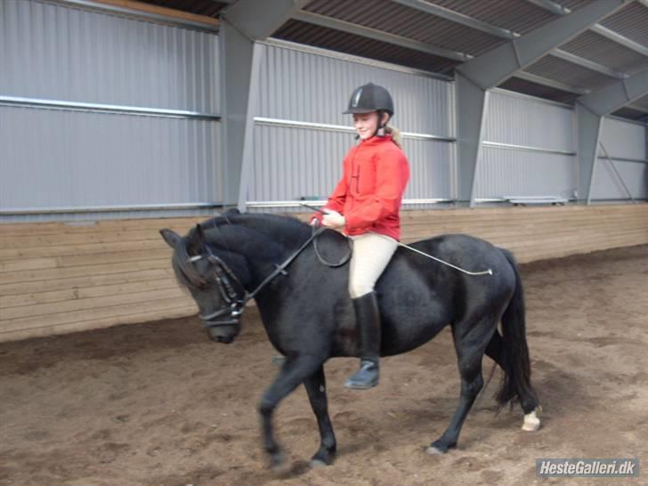Anden særlig race Jamie  - Nyt billede. Vi red lige uden sadel. Vi styrer bare showet jamie..:* billede 12