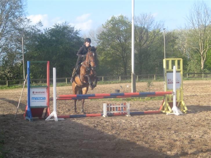 Dansk Varmblod Cleopatra (solgt) - Undervisning 7. maj 09 [foto: Anne] billede 3