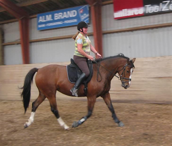 Anden særlig race Tiffani - Så er jeg kommet igang igen efter en rygskade billede 3