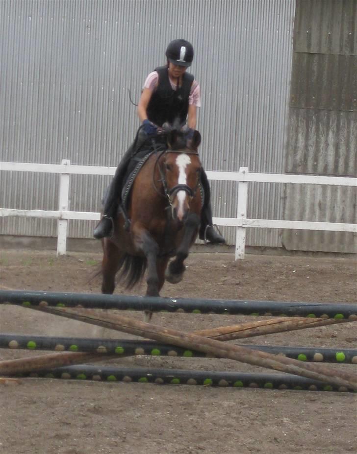 Anden særlig race Tiffani - Jubii - det er så sjovt at springe billede 11