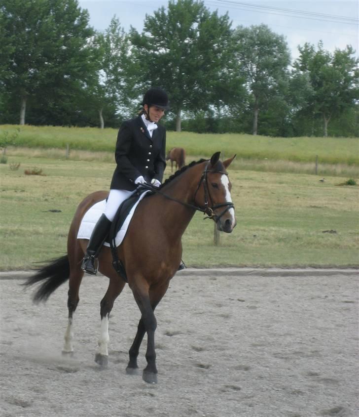 Anden særlig race Tiffani -  Tiffani og hjælperytter - Jette- til stævne billede 14