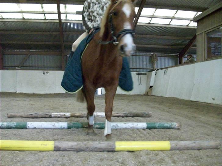 DSP Dublin  billede 6